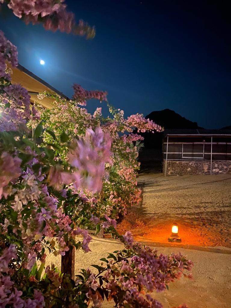 Hotel Moon Night Camp Wadi Rum Exterior foto